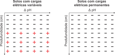 Figura 1. Cargas elétricas no perfil de solo.