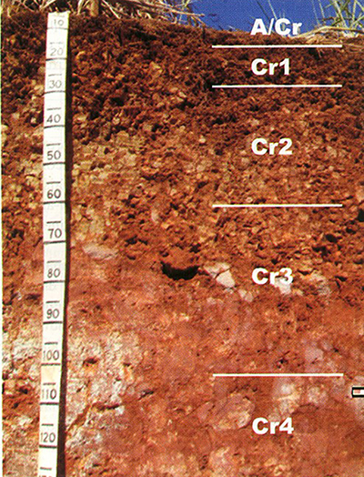 Figura 1.Ambientes de produção de cana-de-açúcar.