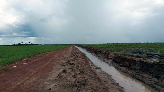 Figura 1. Canal aberto na cana-de-açúcar.