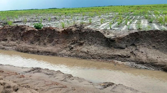 Figura 2. Detalhe do canal aberto na plantação de cana-de-açúcar.