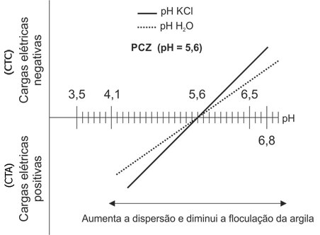 Balanço de cargas elétricas dos solos