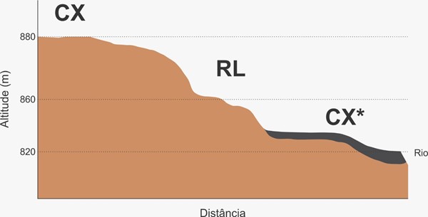 Figura 1. Distribuição de solos na paisagem da propriedade.