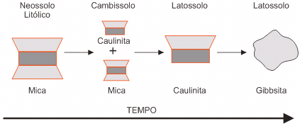 Figura 2.Transformaes dos minerais de argila no solo ao longo do tempo.