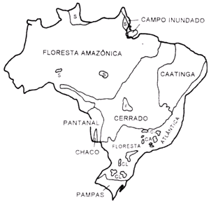 Figura 1.Regiões vegetacionais do Brasil (CALDAS et al, 1978).