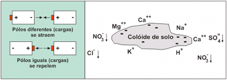 Figura 1.Cargas elétricas da fração argila e matéria orgânica. 
