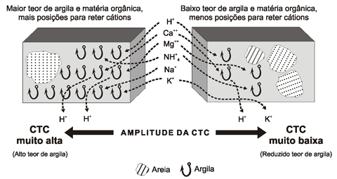 Figura 1. Diferenças de capacidade de troca de cátions em dois tipos de solos .