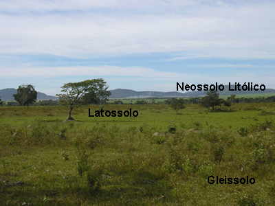Figura 3. Solos na paisagem da usina Jalles Machado de Goianésia (GO). 