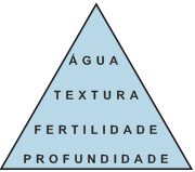 Figura 1. Componentes dos ambientes de produção. 