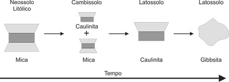 Figura 1. Alterações mineralógicas ao longo do tempo.