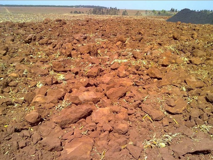 Figura 3. Grandes torrões do Nitossolo Vermelho em decorrência do inadequado preparo de solo no período seco do ano.