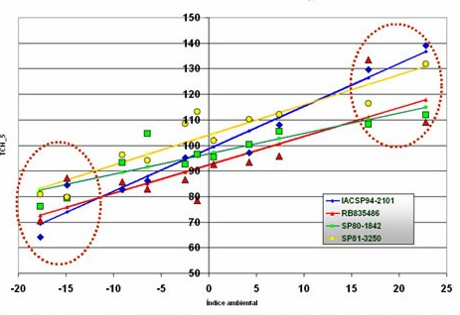 Respostas das variedades de cana-de-açúcar nos diferentes ambientes de produção, IACSP94-2101: Perfil responsivo/exigente. Fonte: M. G. A. Landell.