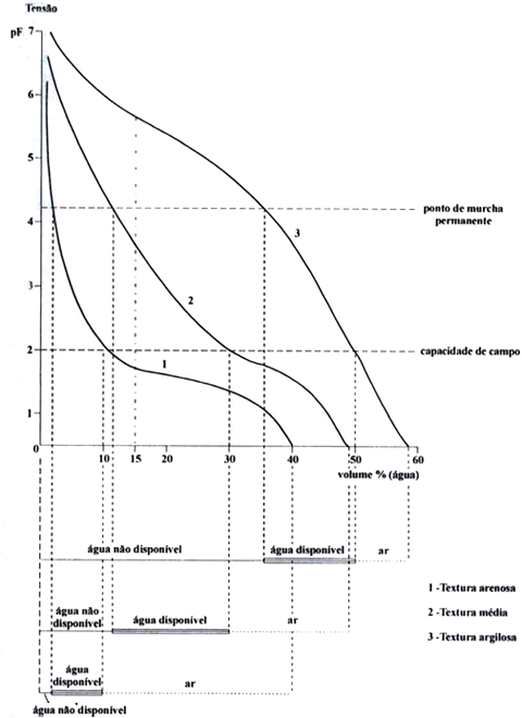 Figura 3.Curva de retenção de água nos solos com baixo, médio e alto teor de argila (DIJKERMAN,1981).