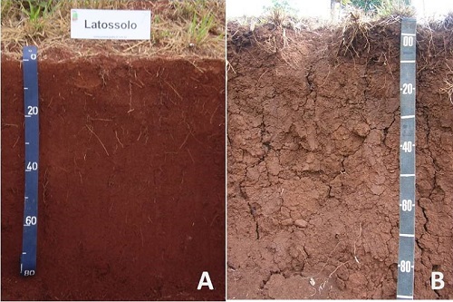 Comparação entre perfil de Latossolo (A) e Nitossolo (B)