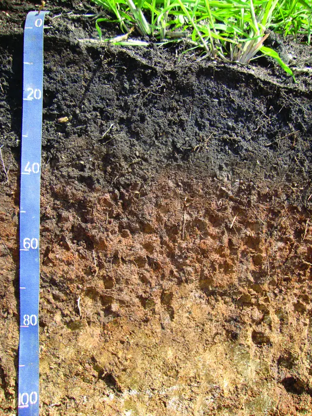 Perfil de Chernossolo Háplico com horizonte A escuro e espesso sobre horizontes B e C mais claros